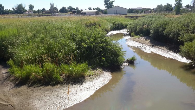Big Dry Creek Recreation and Floodplain Restoration Master Plan & Final Design