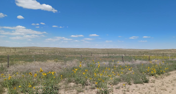 Colorado State Land Board