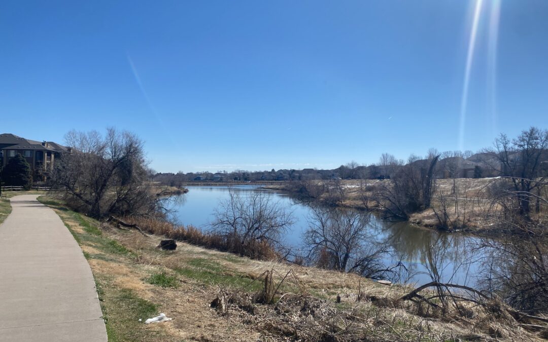 Thornton Citywide Bicycle & Pedestrian Trail Study