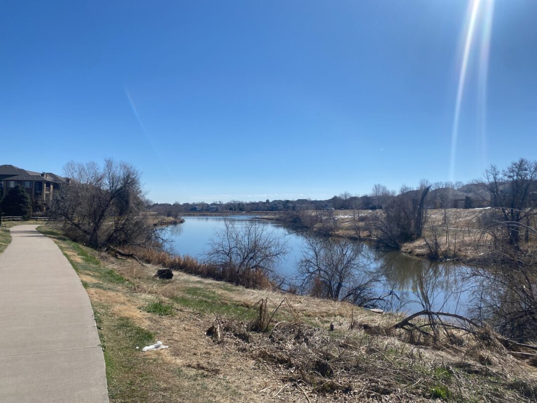Thornton Citywide Bicycle & Pedestrian Trail Study