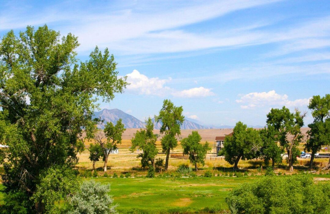 Whisper Creek II