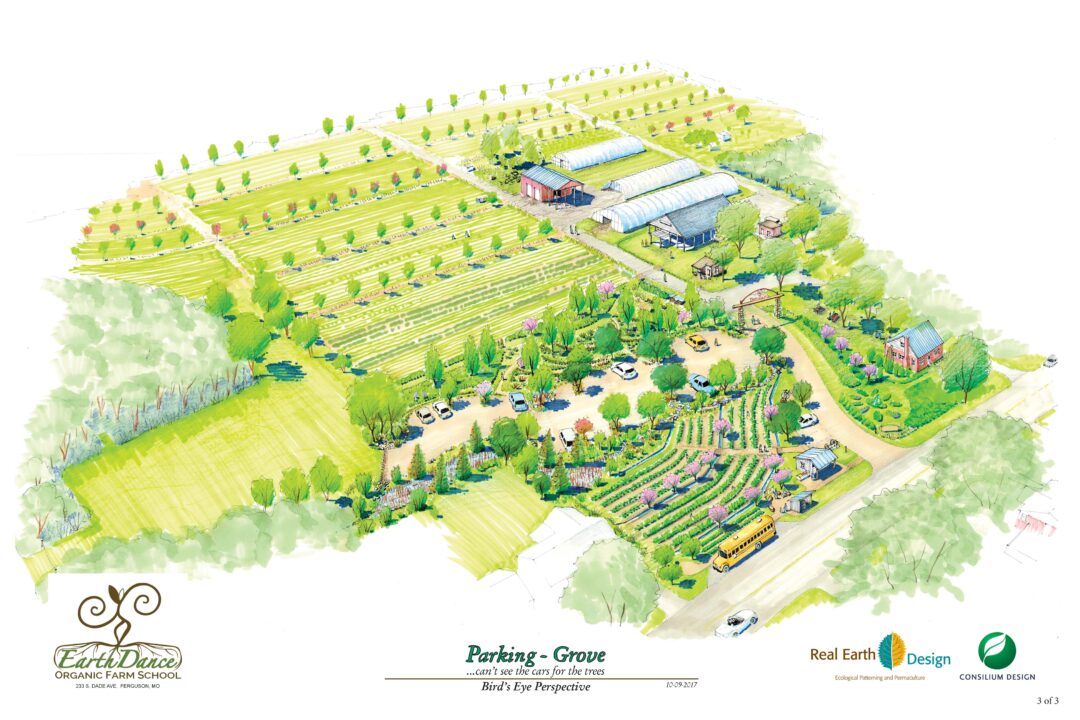 Ferguson Farms