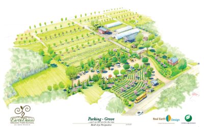 Ferguson Farms